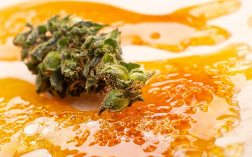golden resin concentrate wax and dry green cannabis bud