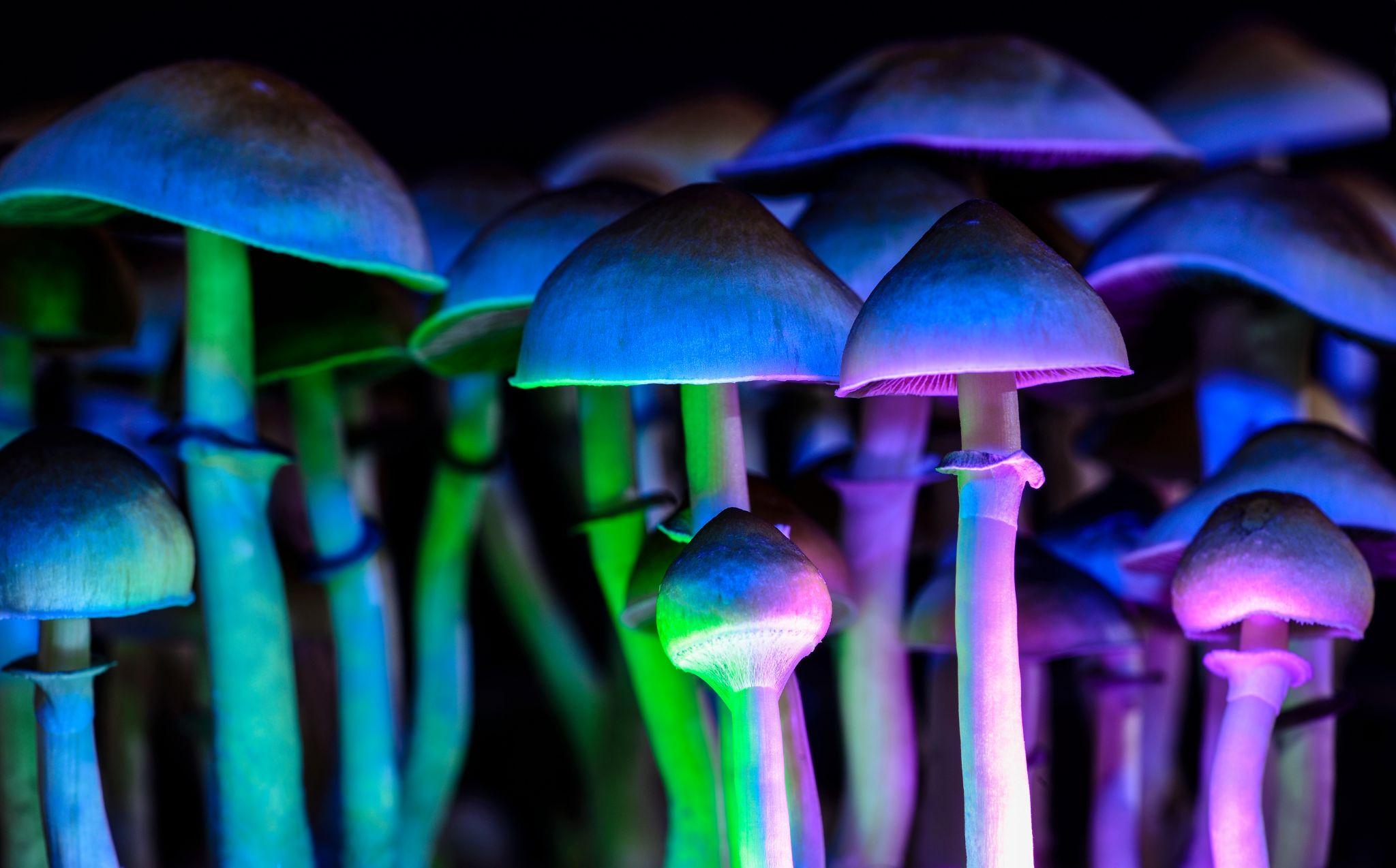 trippy pictures to look at on shrooms